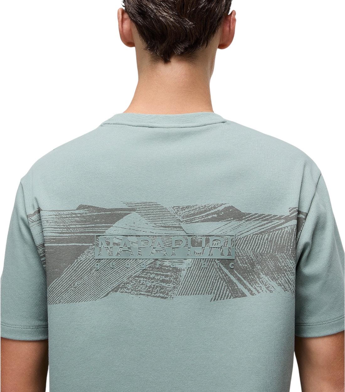 Napapijri Groen Vanni T-Shirt Voor Heren Katoen T-Shirt