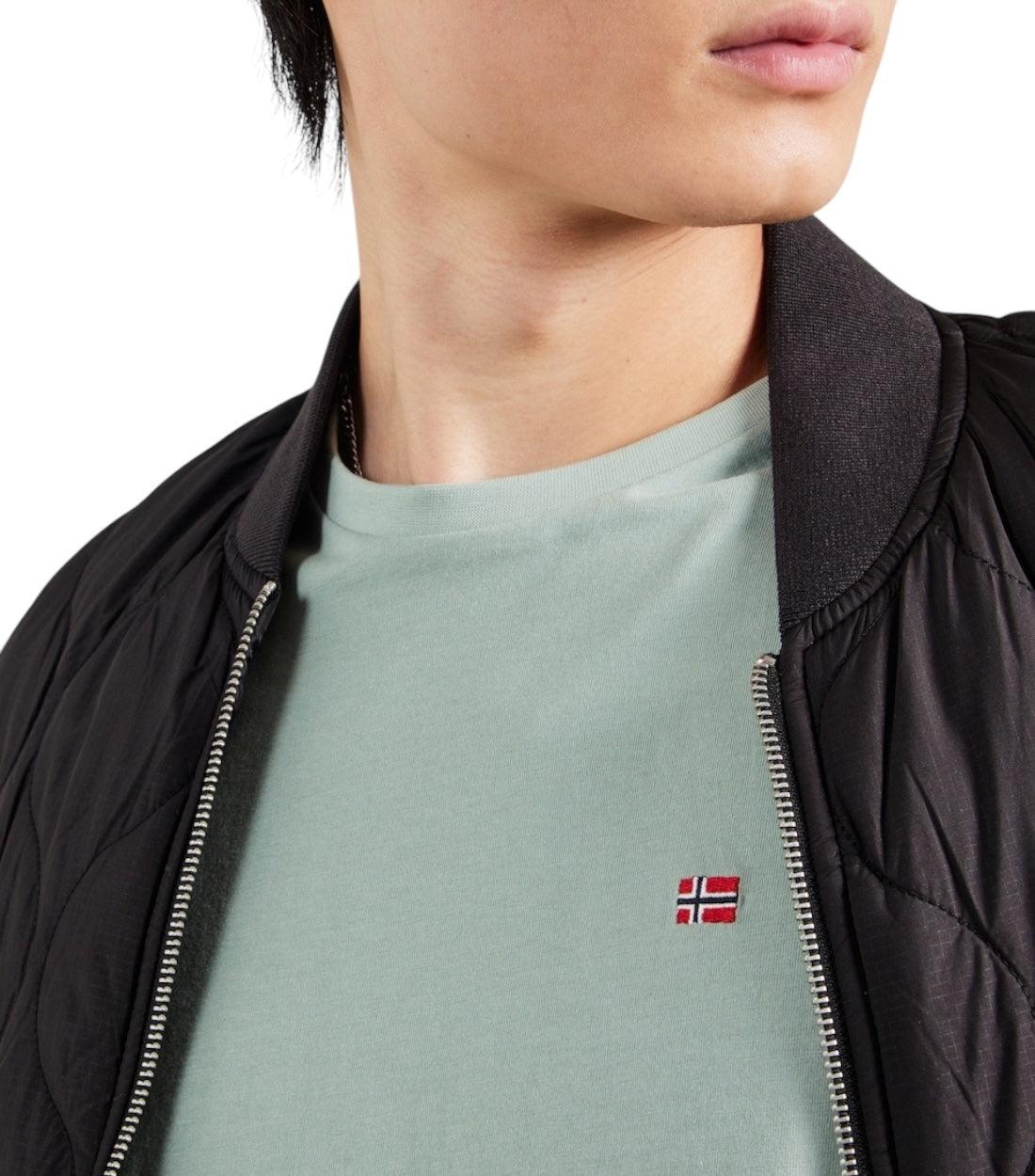 Napapijri Groen Salis T-shirt Voor Heren Korte Mouwen